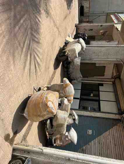 Transport Service Near Me